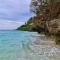 Camotes Palanas Beach Stay - Himensulan