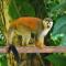 Villa Kiskadee - Beautiful Mountain Views with Private Pool - Quepos