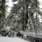 BLUEBEARY PINES-PERFECT ESCAPE-PRIVATE HOT TUB-WALK to SKI SHUTTLES - Big Bear Lake