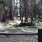 PaPa Bear Cabin - North Wawona