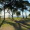 Cool Landes
