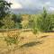 Cool Landes