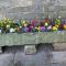 Garden Cottage - Ashover Village near Matlock
