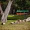 Diamond Forest Farm Stay