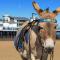 CORBIERE GUEST HOUSE