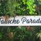 Falucho Paradise Beach