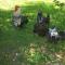 B&B Hoeve Ruimzicht