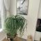 Sunset Ocean View Apartment mit Parking