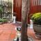 May Residence-800m from Opera House