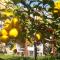 Florinda Lemons Suite