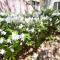 New Pics! Harbour Town 3BR/3BA - Pool Access - Book Now