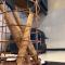 Quarry Loft, Bowness on Windermere - 温德米尔