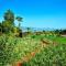 MERIDIAN AC VILLA - Besides Valley View & Strawberry Farms