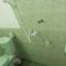 Ananda Home Stay and Restaurant