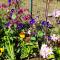 De tuin van Agatha