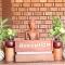 Shining Angkor Boutique Hotel