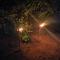 කැලෑව Jungle Eco Resort