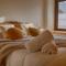 Saplan Real Estate VILAMOS