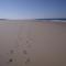 Location Landes Mimizan Plage