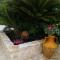 AnnaS Trulli Paradise-Alberobello