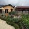 Rodous Village House