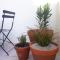 Studio cabine en bord de plage