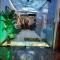 Shabana House