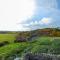 Ysgubor Newydd