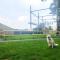 Dog Friendly 8 Berth Static Caravan Newquay