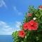 Yomitan Ocean View Apartment 201