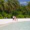 Cocoon Maldives - All Inclusive - 拉薇亚妮环礁
