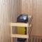 Holiday home in Kungshamn 4 - 王室港