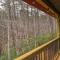 Cozy Bear Cabin #1