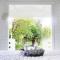 Bamboo Lodge Groningen