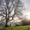 Enchanted Retreats at West Ford Devon - 南莫尔顿