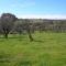 Kinross Metcalfe Farm