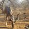 Matumi Self Catering