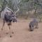 Matumi Self Catering