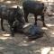 Matumi Self Catering