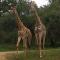 Matumi Self Catering