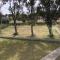 Aloni Studios and Apartments