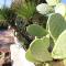 Casa Vacanza Malvasia Nera Otranto - أوترانتو