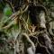 Enchanted Retreats at West Ford Devon