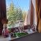 Apartmani Vidatela Kopaonik