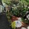 Paradise Cottage at Anthurium Hale Paradise Cottage at Anthurium Hale