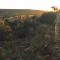 Moletani Game Ranch - Atoom