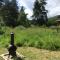 Caledonian Glamping