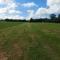 Pitch your own tent in beautiful location Kent Sussex border - Wadhurst