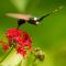 Reserva Natural Atitlan