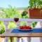 Apartmani Noris (app3)